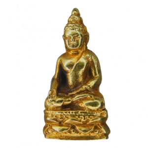 11842 : AML6712120005-1-20260222144010.webp