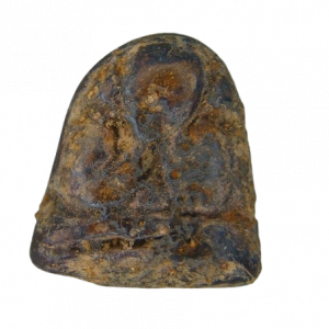 14186 : AML6802040028-1-20260222114354.webp