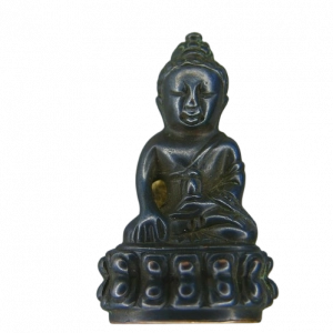 21905 : AML69031021905-1-20260310105400.webp